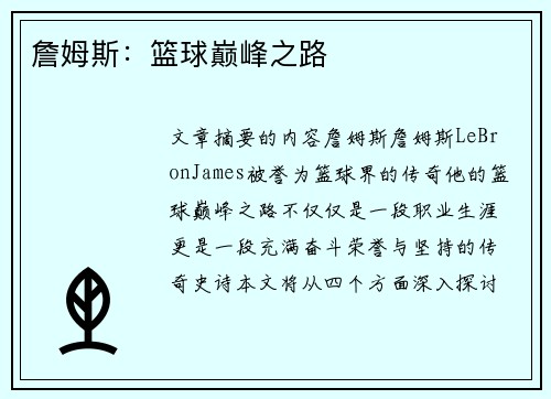 詹姆斯：篮球巅峰之路